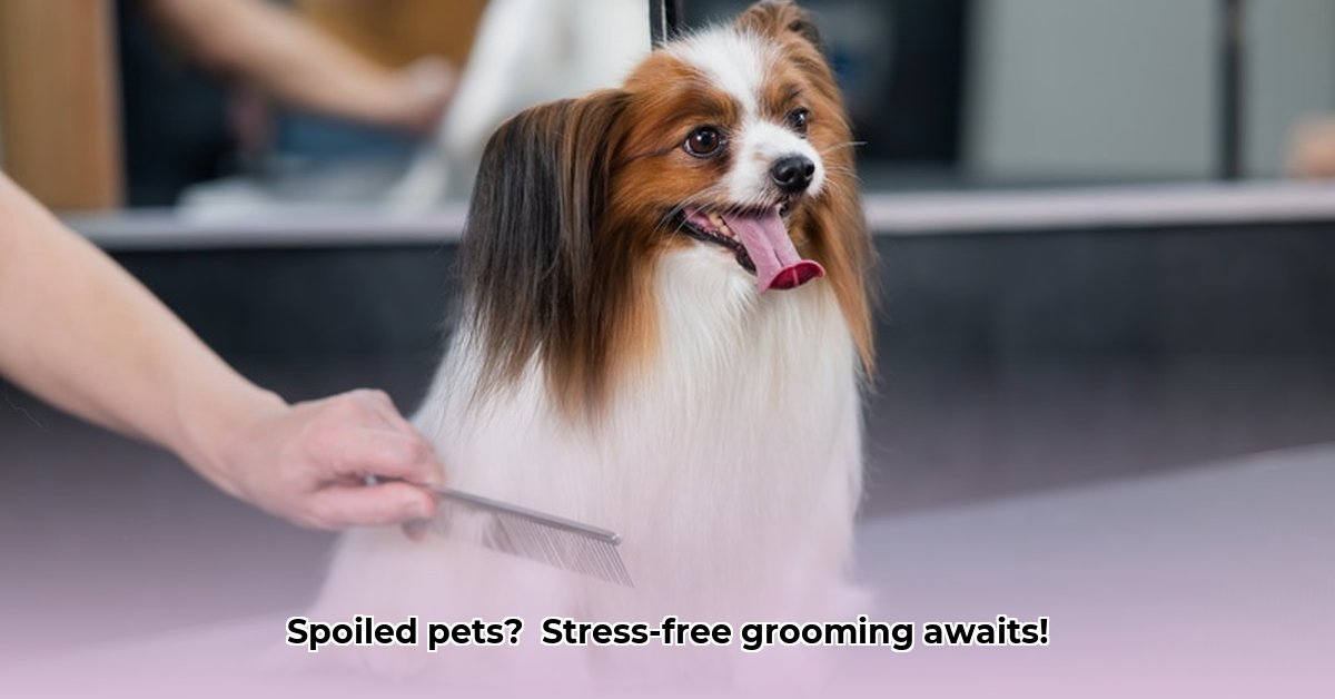 petsense-by-tractor-supply-mayfield-grooming
